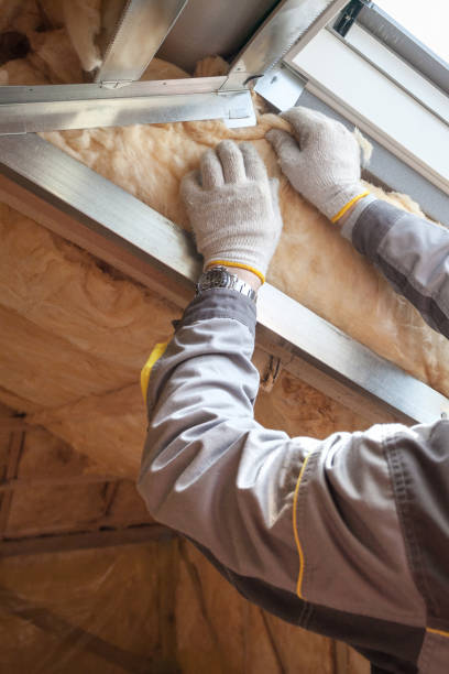 Best Insulation Installation Services in Marshall, IL