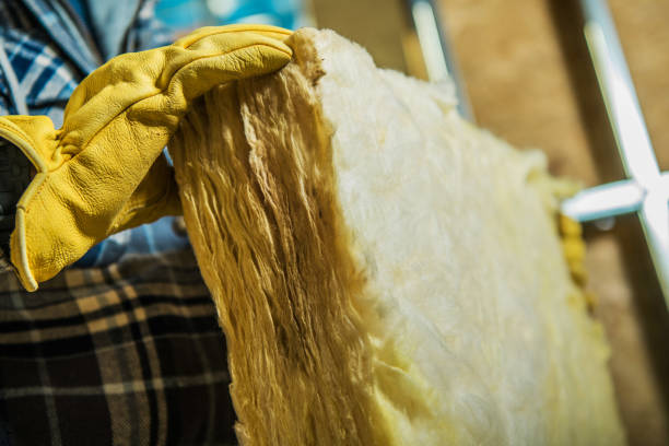Best Specialty Insulation in Marshall, IL