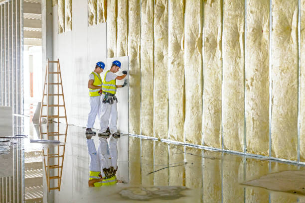 Best Specialty Insulation in Marshall, IL